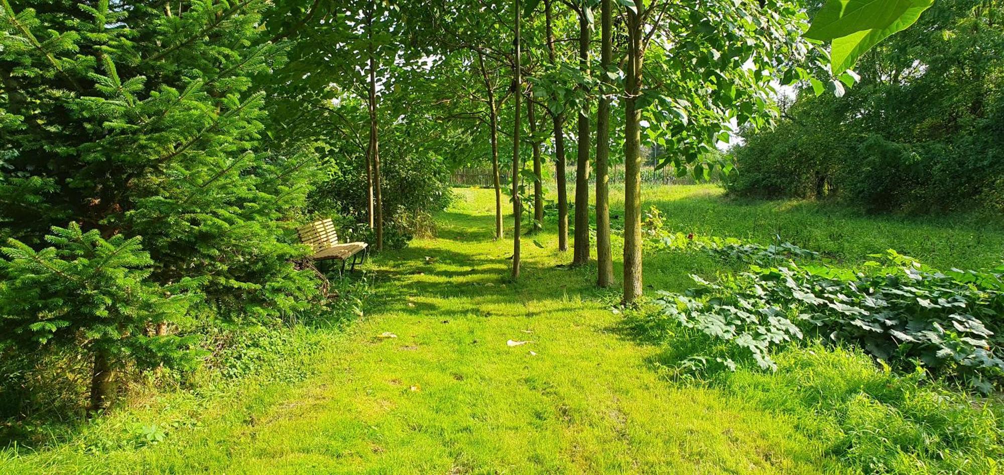 Gartenhaus Schlanstedt Huy Exteriér fotografie