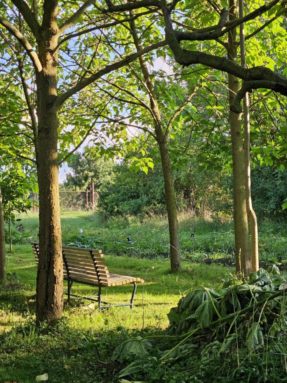 Gartenhaus Schlanstedt Huy Exteriér fotografie