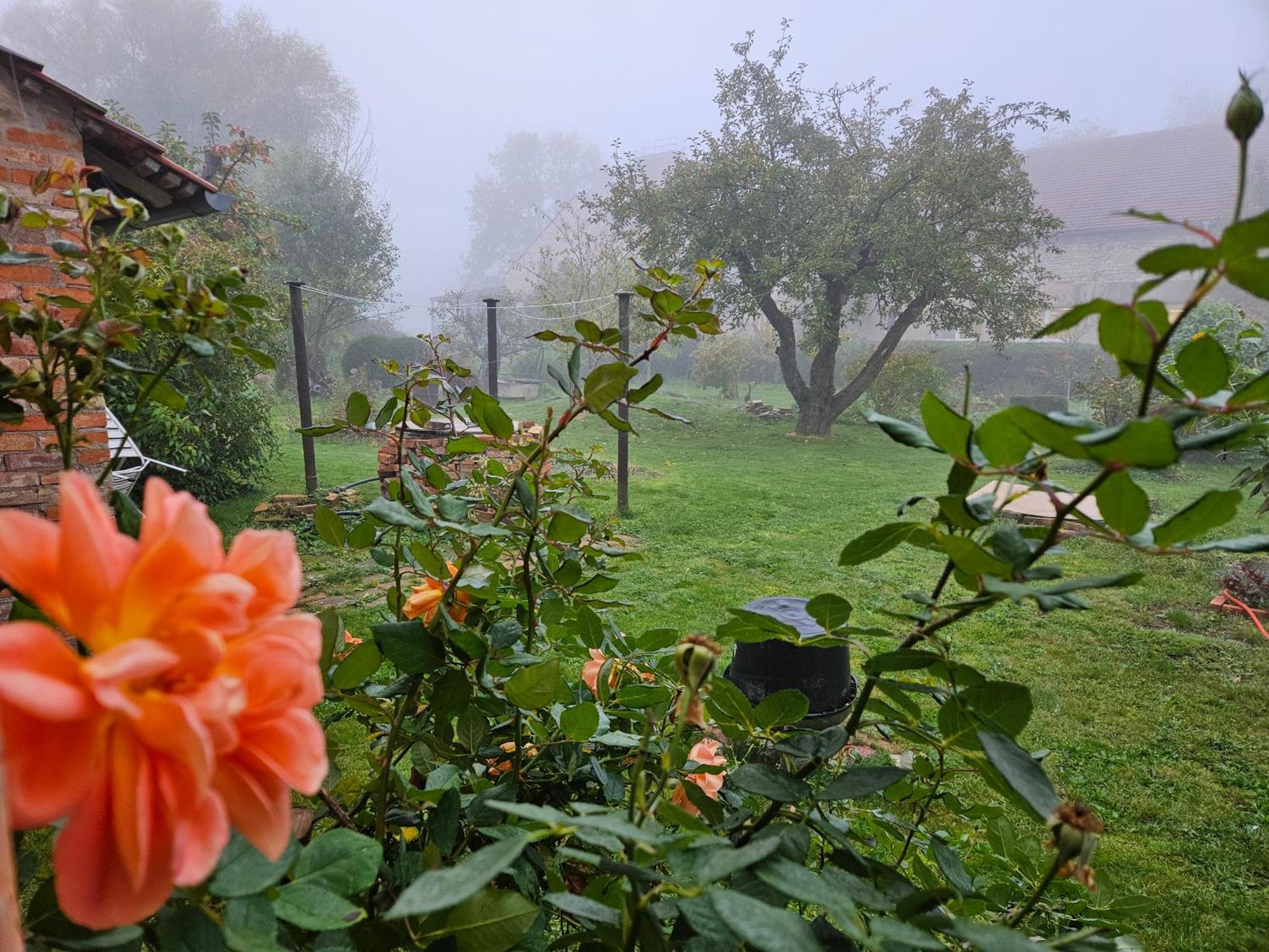 Gartenhaus Schlanstedt Huy Exteriér fotografie